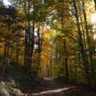 Natur z´Kobla