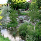 RenaturierungKoblach05.JPG