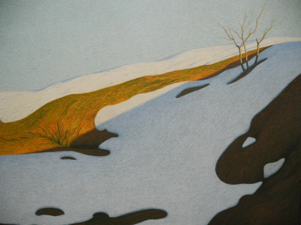 DSCN9327_JPG-1318263525