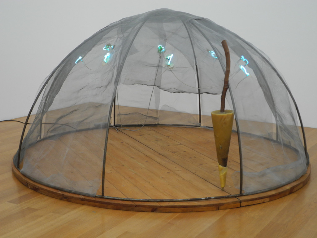 DSCN9334_JPG-1318263609