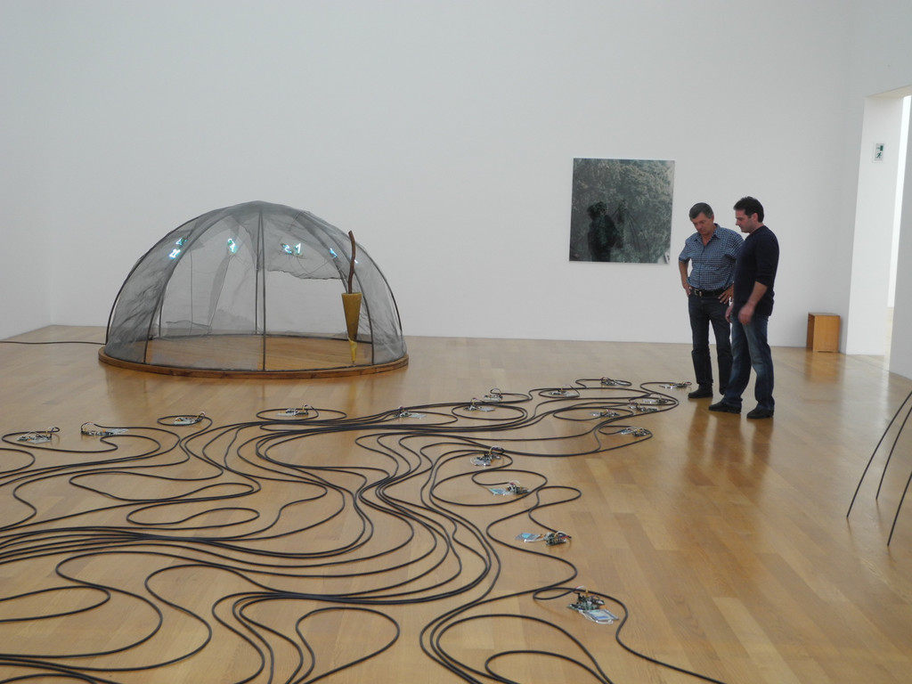 DSCN9336_JPG-1318263637