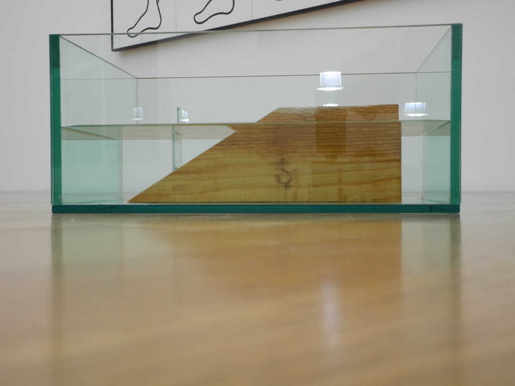 DSCN9360_JPG-1318263927