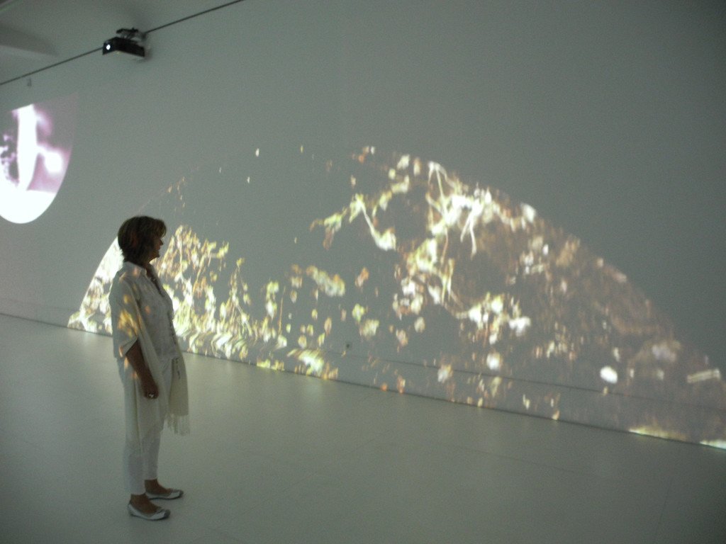 DSCN9380_JPG-1318264057