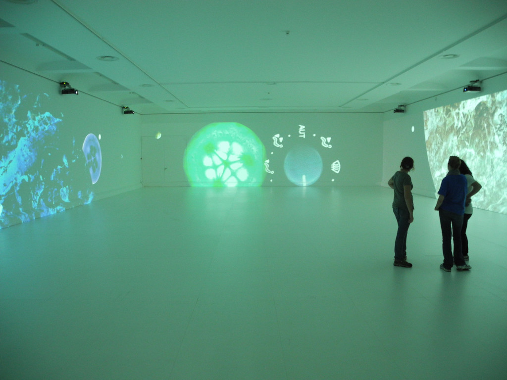 DSCN9394_JPG-1318264148