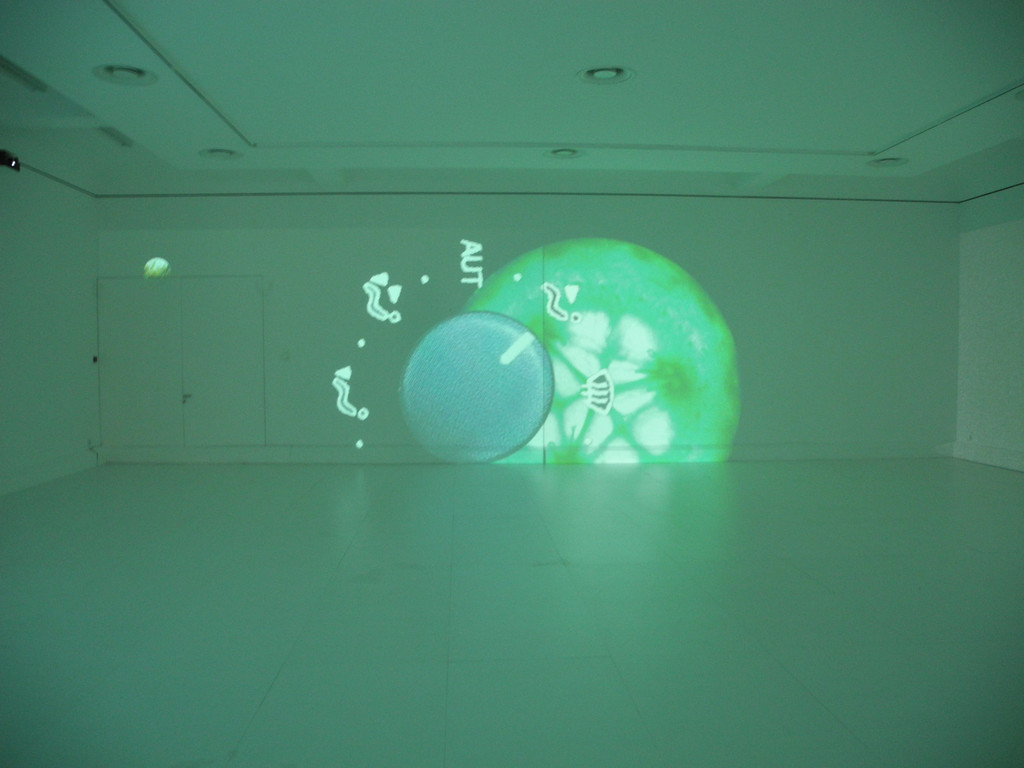 DSCN9395_JPG-1318264160