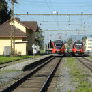 DSCN8949_JPG-1318267267