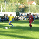 PA090040_JPG-1318274252