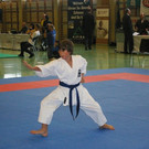 Bilder von der Landesmeisterschaft 2011