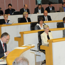 goegele_plenum01_jpg-1318320193