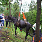 normal_11102011fmt_kutschenunfall_mw_13.jpg