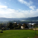 P1090943_jpg-1318346468