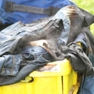 normal_11102011brandwalsffaktivnews_17.jpg