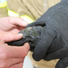 normal_11102011brandwalsffaktivnews_25.jpg