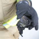 normal_11102011brandwalsffaktivnews_26.jpg