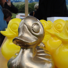 Enten _2_.JPG
