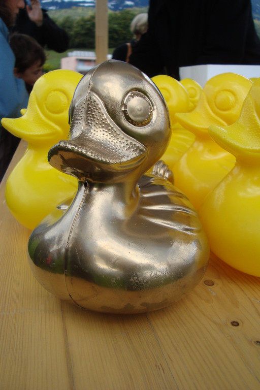 Enten _2_.JPG