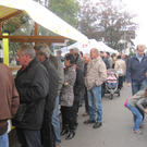 IMG_0768_JPG-1318356702