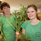 Blumen Hotz 2_JPG-1318396979