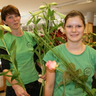 Blumen Hotz_jpg-1318396981