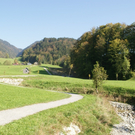 DSC01715_JPG-1318398931