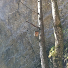 IMG_0423_JPG-1318400620