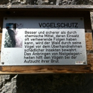 IMG_0426_JPG-1318400624