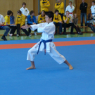DSC06945.JPG