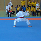 DSC06954.JPG