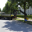 6_6_11 773_jpg-1318418383