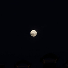 normal_11102011fmt_abendstimmung_mw_06.JPG