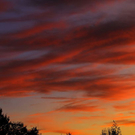 normal_11102011fmt_abendstimmung_mw_08.JPG