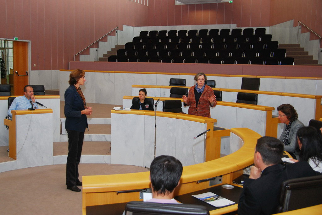 jungdemokraten_rumaenien04_jpg-1318537633