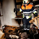 Br_Hems Zimmer Katze06.jpg