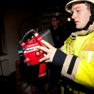 Br_Hems Zimmer Katze07.jpg