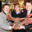 Bilder von den Riesenkürbissen