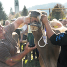 Viehfest H__chst 14_10_2011 103_jpg-1318606596