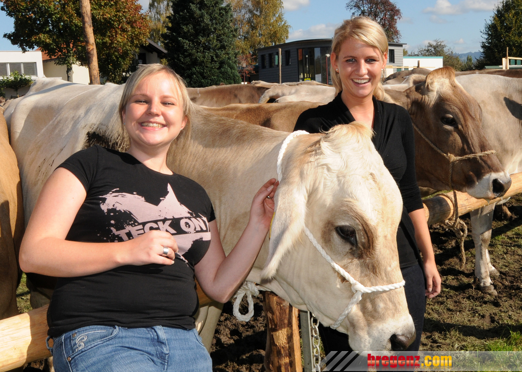 Viehfest H__chst 14_10_2011 96_jpg-1318607857.jpg