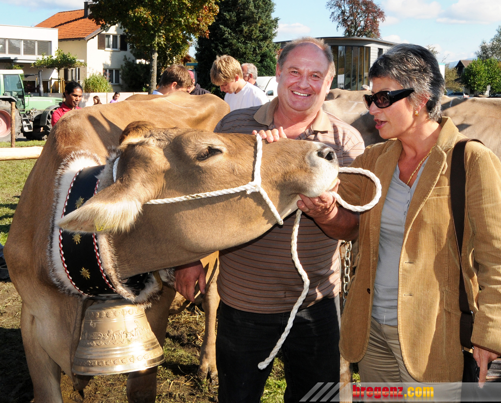 Viehfest H__chst 14_10_2011 87_jpg-1318607760.jpg