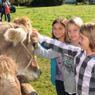 Viehfest H__chst 14_10_2011 89_jpg-1318607781.jpg