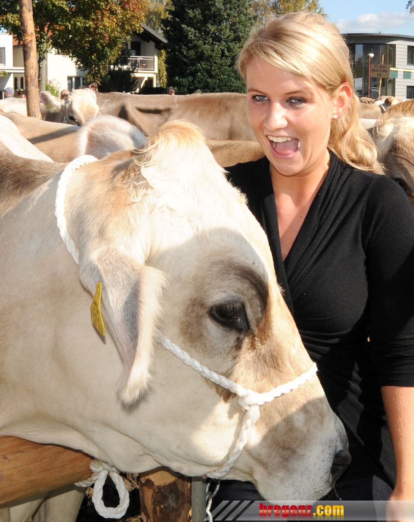 Viehfest H__chst 14_10_2011 95_jpg-1318607838.jpg