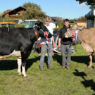 Viehfest H__chst 14_10_2011 110_jpg-1318607878.jpg