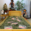 normal_14102011fmt_gesundundwelln_mw_12.JPG