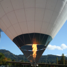 IMG_8621_jpg-1318667739