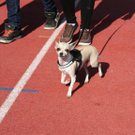 IMG_8666_jpg-1318667921