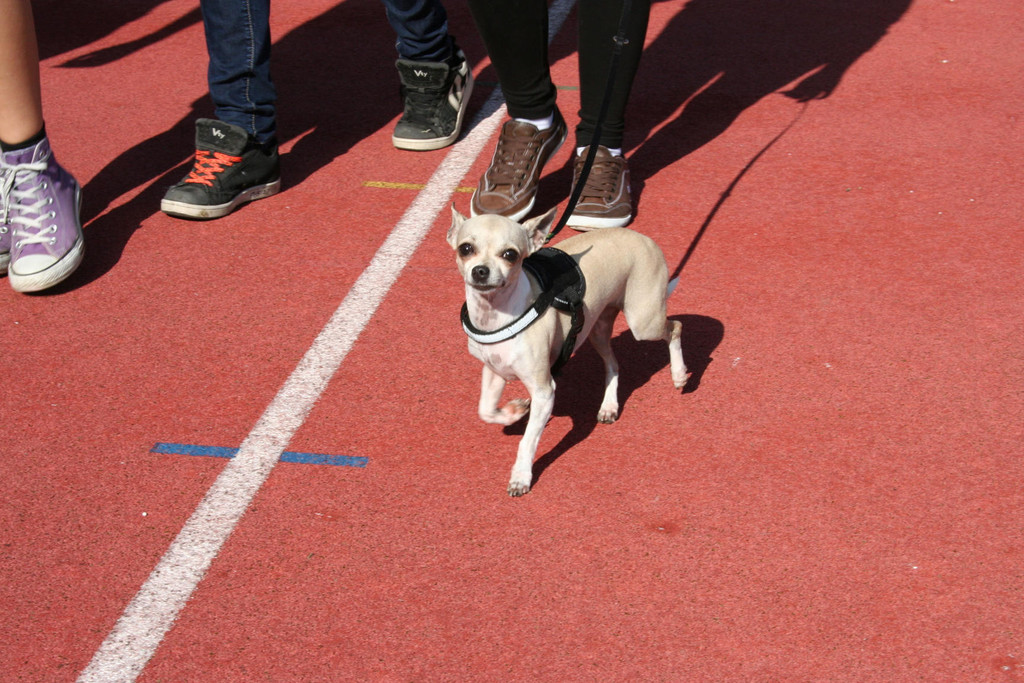 IMG_8666_jpg-1318667921