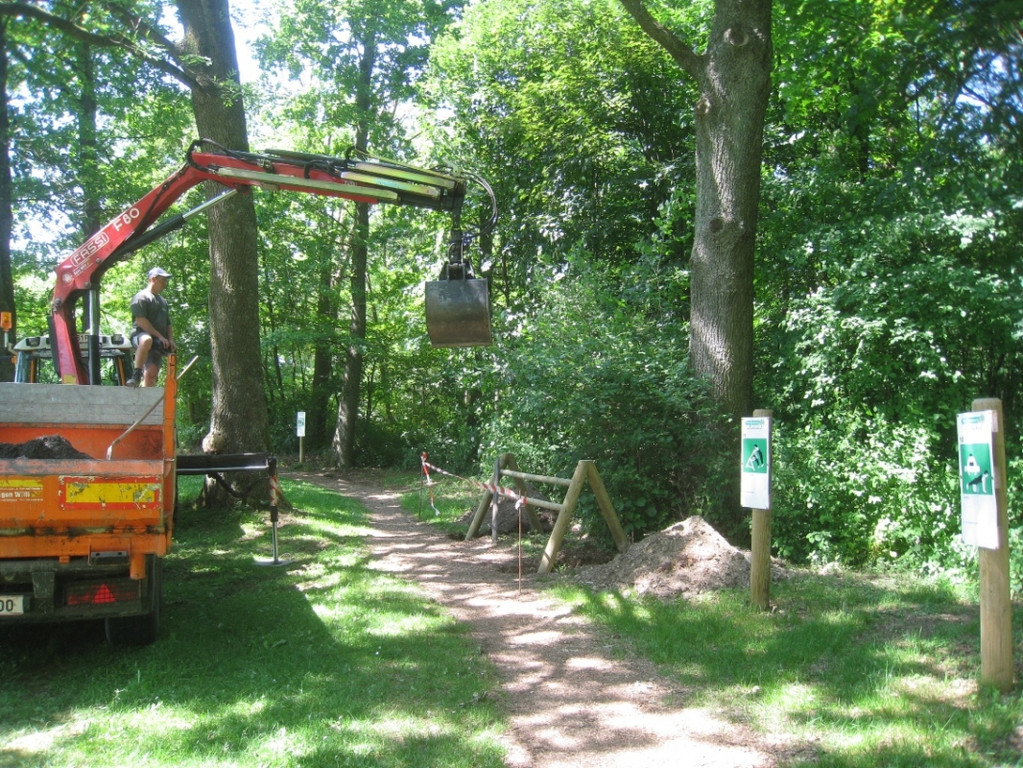 Finnenbahn Andreas Fessler ARBEIT 2011 _10__jpg-1318669343