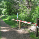 Finnenbahn Andreas Fessler ARBEIT 2011 _4__jpg-1318669264