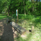 Finnenbahn Ansichten ALT 2011 _6__jpg-1318669455