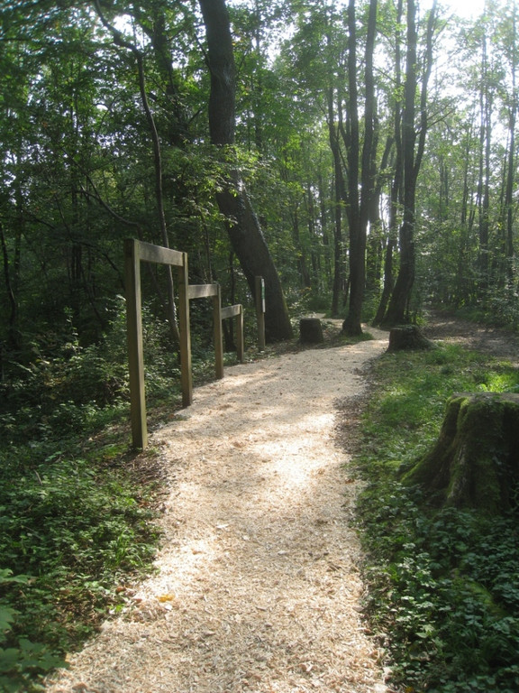 Finnenbahn Ansichten NEU saniert 2011 _5__jpg-1318669591
