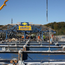 normal_151011a1brueckegaaktivnews_0198.jpg